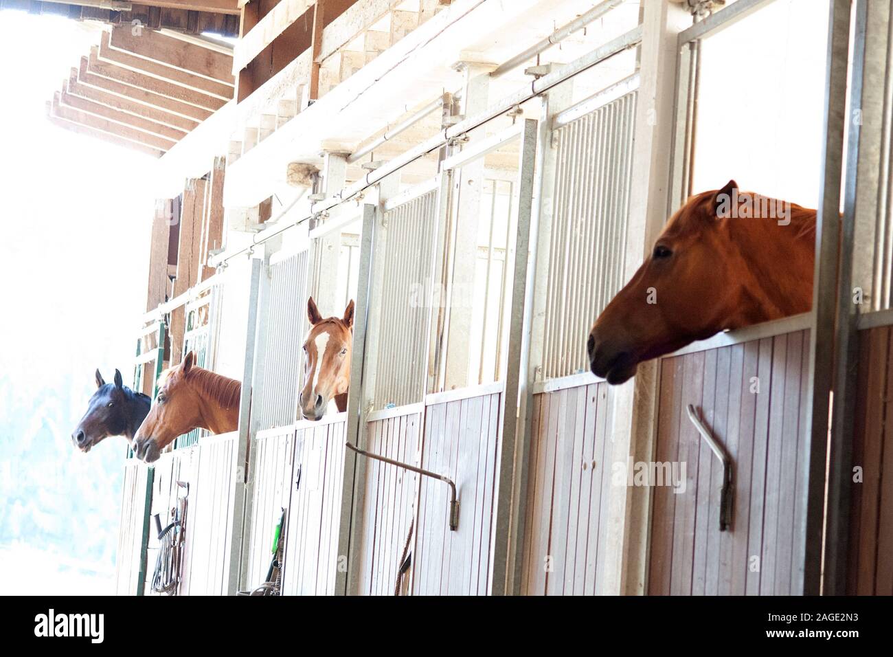 Stable Boxes Stable boxes -Fotos und -Bildmaterial in hoher Auflösung – Alamy