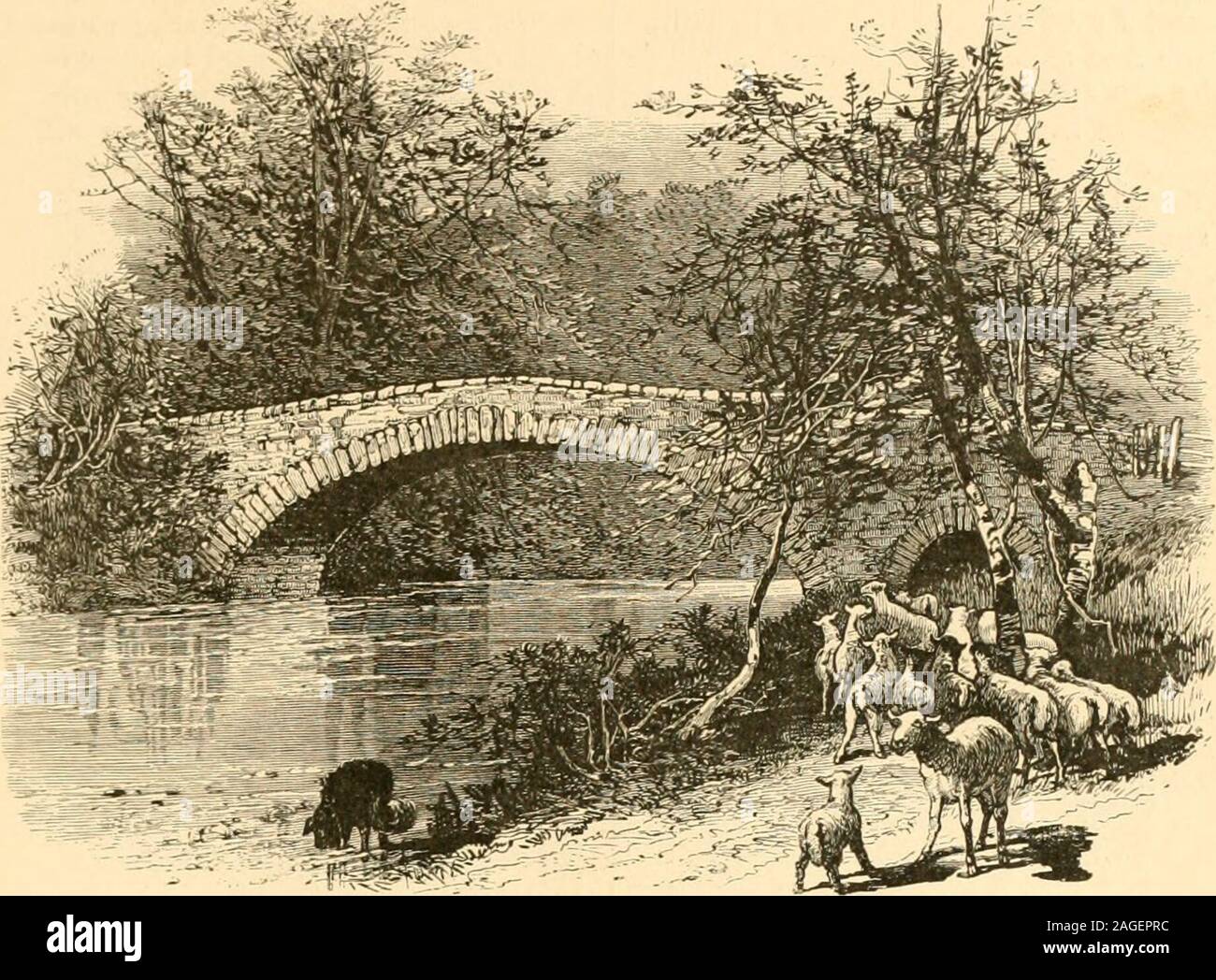 . Die poetische Werke von Sir Walter Scott, baronet; ed. Mit einer sorgfältigen Überarbeitung des Textes. oer die auslaufenden Pferd. 1 wenig Gedanken, wenn deine Zügel 1 ohnmächtig auf die Ufer der Seine, die Highland Eagle eer sollte an deine Flotte Gliedmaßen, meine unnachahmliche Gespann! Weh wert die Chase, wehe den Tag wert, dass kostet dein Leben, Mein tapferer grau! Dann durch die Dell sein Horn erklingt, Aus vergeblich streben die Jagdhunde zu nennen. Zurück humpelte, mit langsamen und Verkrüppelten Tempo. Die sulky Führer der Chase: Nah an ihren Meister Seite sie gedrückt, mit hängenden Schwanz und demütigte Crest; aber immer noch die dingles hohlen thr Stockfoto