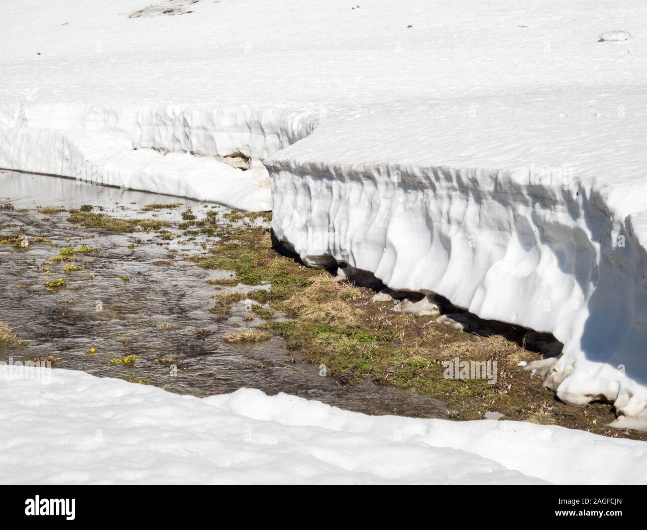 Schneeschmelze im Naturpark Gantrisch im Frühling, Kanton Bern, Berner Oberland, Schweizer Alpen, Schweiz Stockfoto