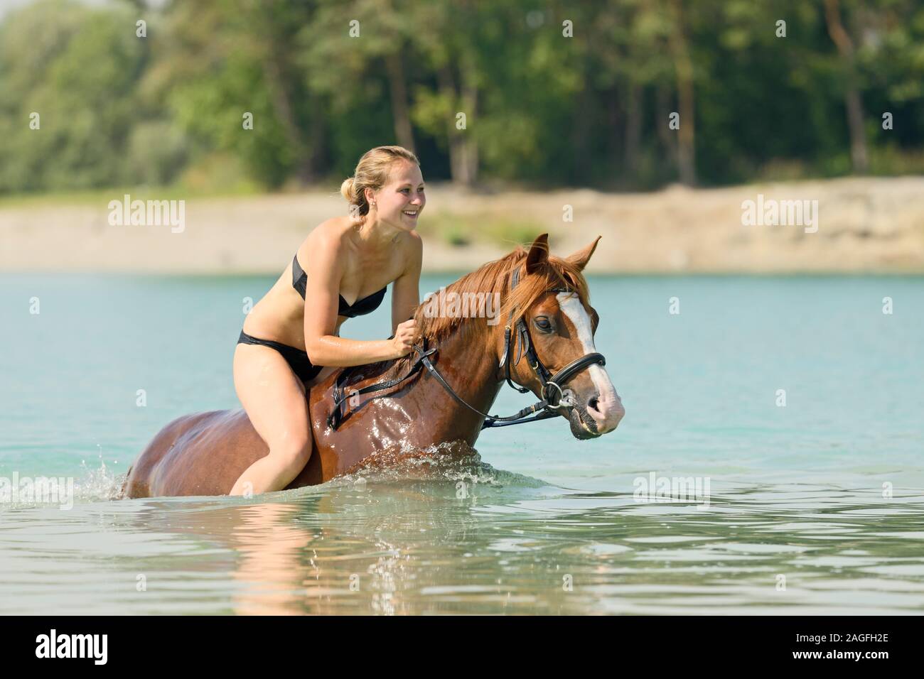Junge Frau und einem Deutschen Pony in einem See Stockfoto