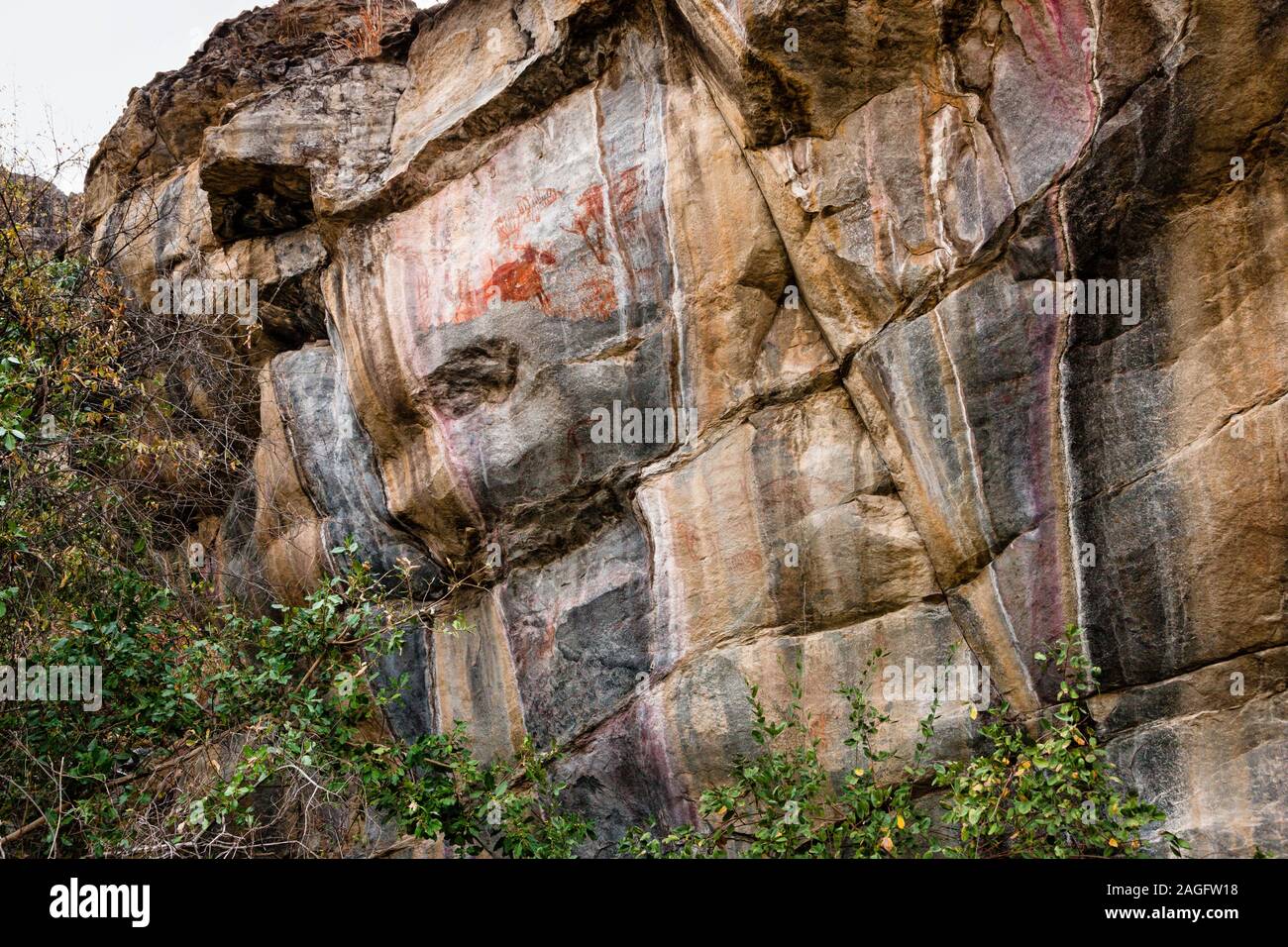 Tsodilo-Hügel, Felsgemälde von Tieren, Louvre der Wüste, isolierte Hügel in der kalahari-Wüste, Botsuana, Südafrika, Afrika Stockfoto