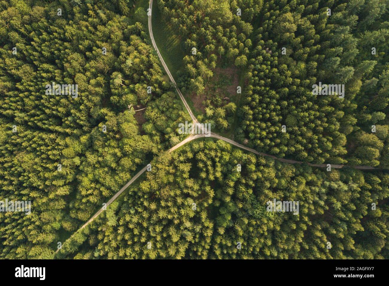 Blick von oben auf die Straße mit Schnittpunkt im Wald als Entscheidung Konzept Stockfoto