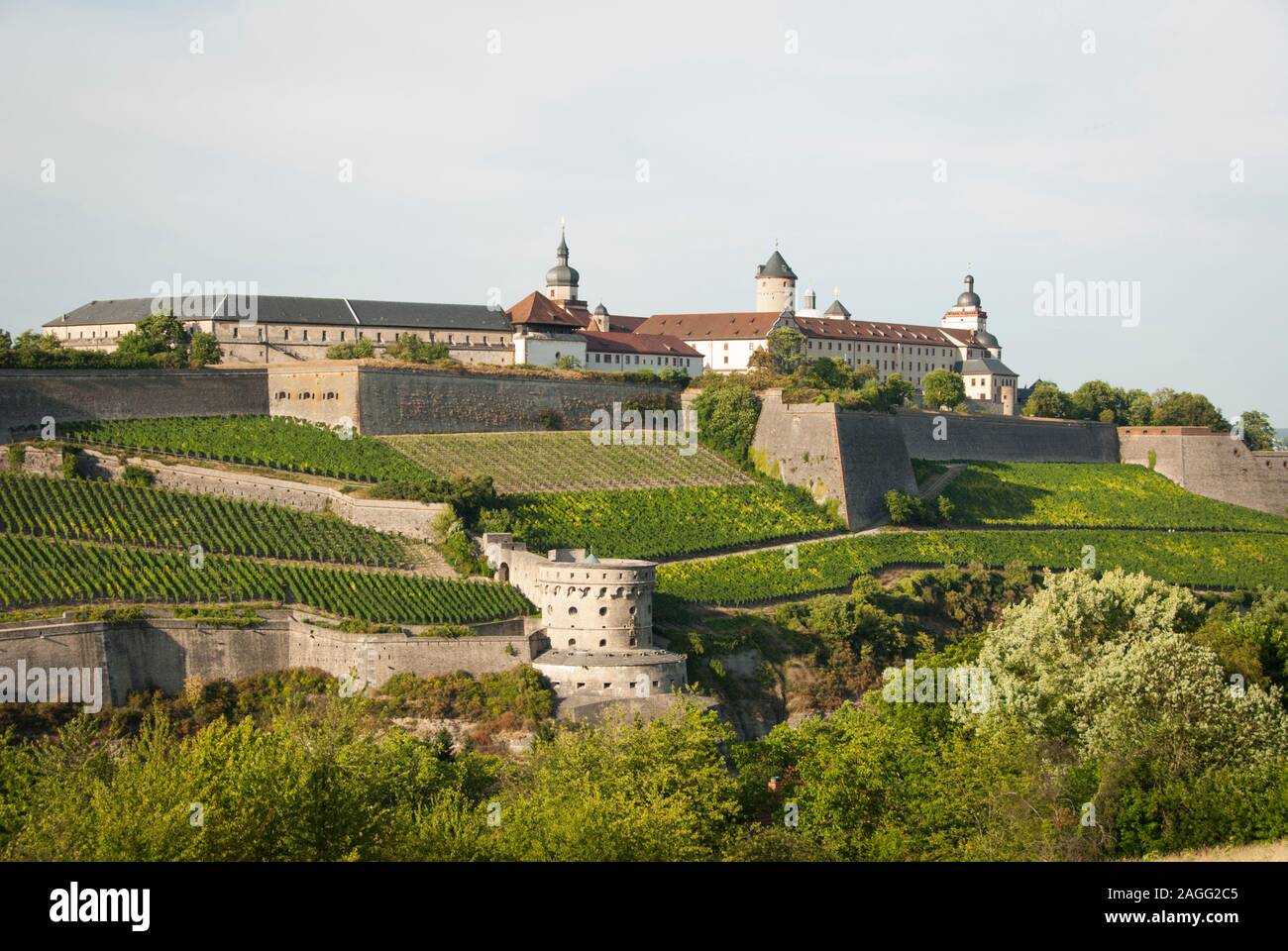 Blick auf Würzburg Marienburg Festung, Schlossberg mittelalterliche Stadt mit Mauern und Weinberge in Deutschland Stockfoto
