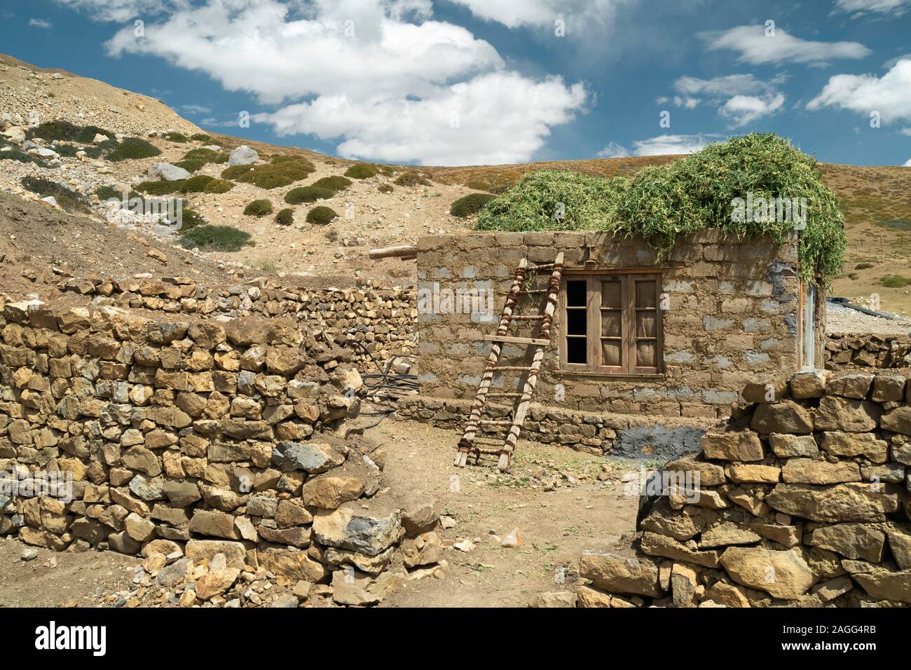 Kleines neues Haus bauen mit Viehfutter auf dem Dach von Trockenmauern in isolierten Himalayan Dorf Tashigang, Himachal Pradesh, Indien umgeben. Stockfoto
