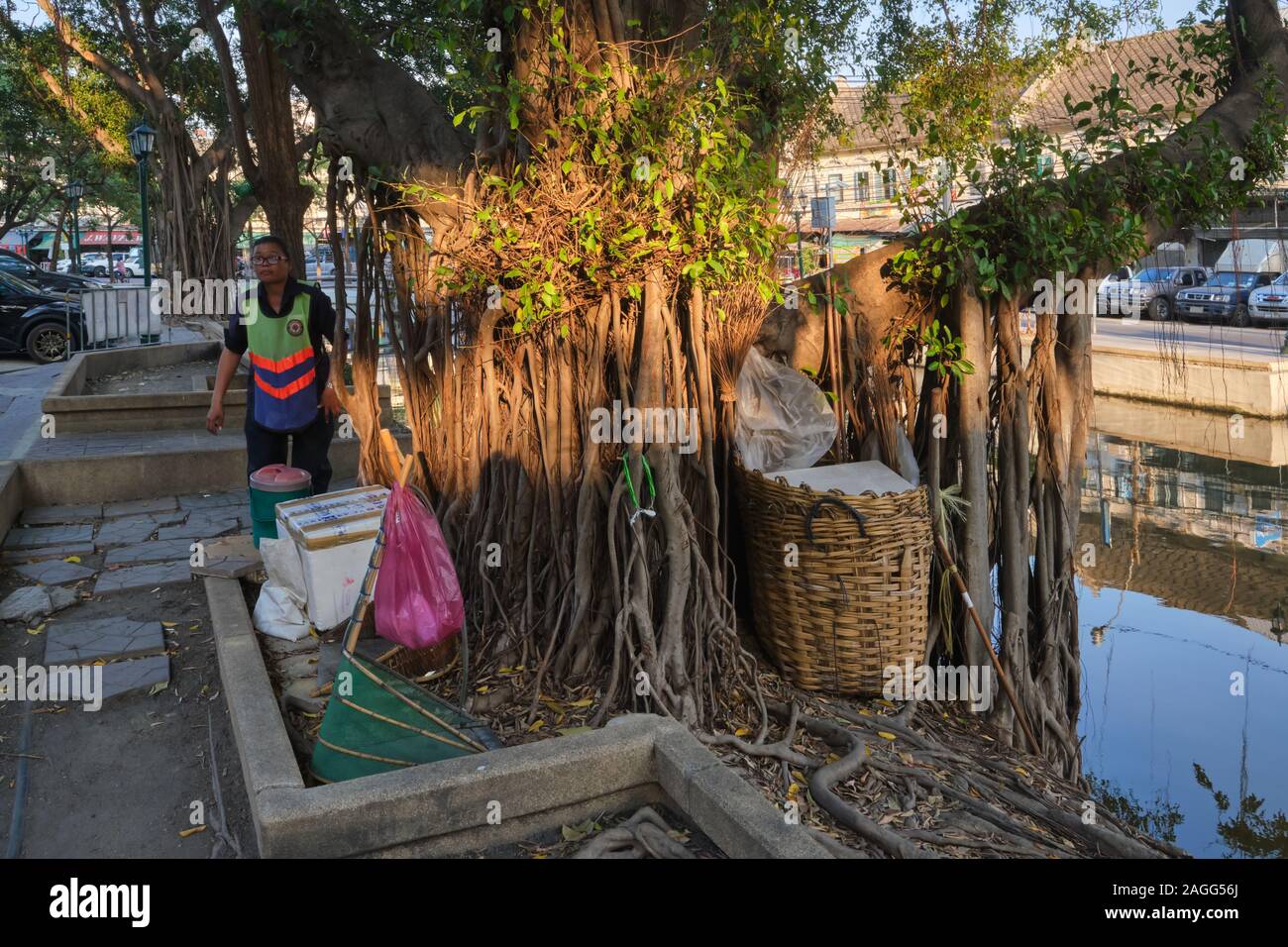 Am späten Nachmittag einen Blick auf (Kanal) Klong Los-/Lod (Klong Khu Mueang Doem), mit einem kommunalen Reiniger neben einer beeindruckenden Banyan Tree Stockfoto