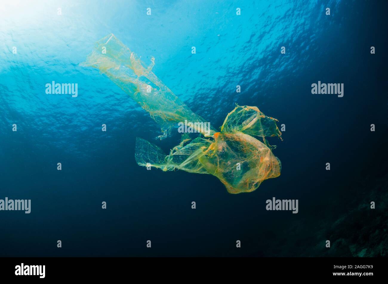 Plastikbeutel floating im offenen Wasser über Korallenriff. West Papua, Indonesien. Stockfoto
