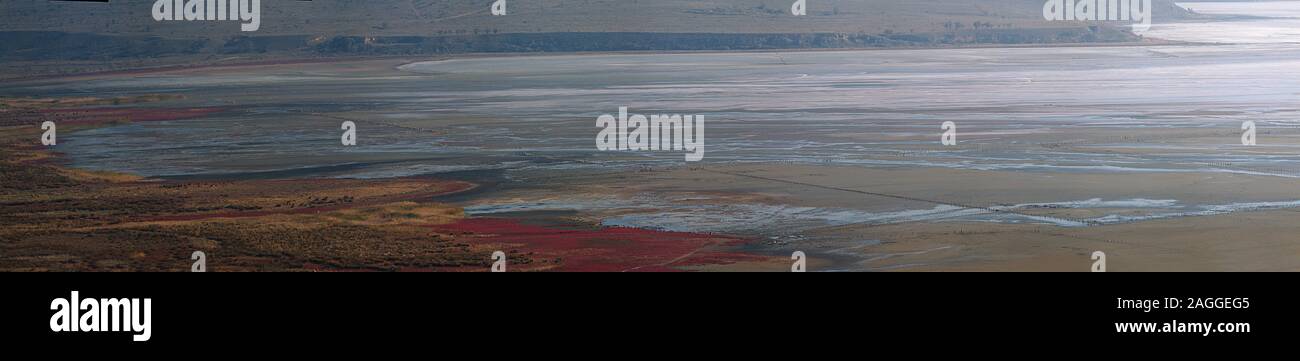 Alkalische Erde. Salt Lake (ehemalige Lagune) im Küstengebiet und ausgedehnte Salzwiesen, semidesert mit halophytes. Unter halophiler Pflanzen associati Stockfoto