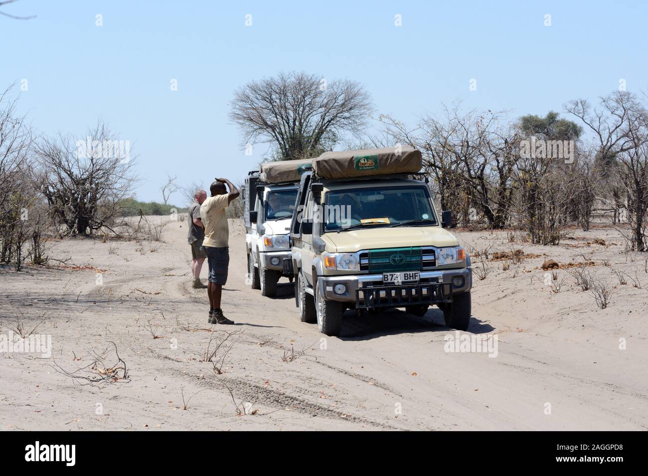 Touristische jeeps Fahrzeuge auf einem Sand sandiger Straße in Chobe Nationalpark Botswana Afrika Stockfoto