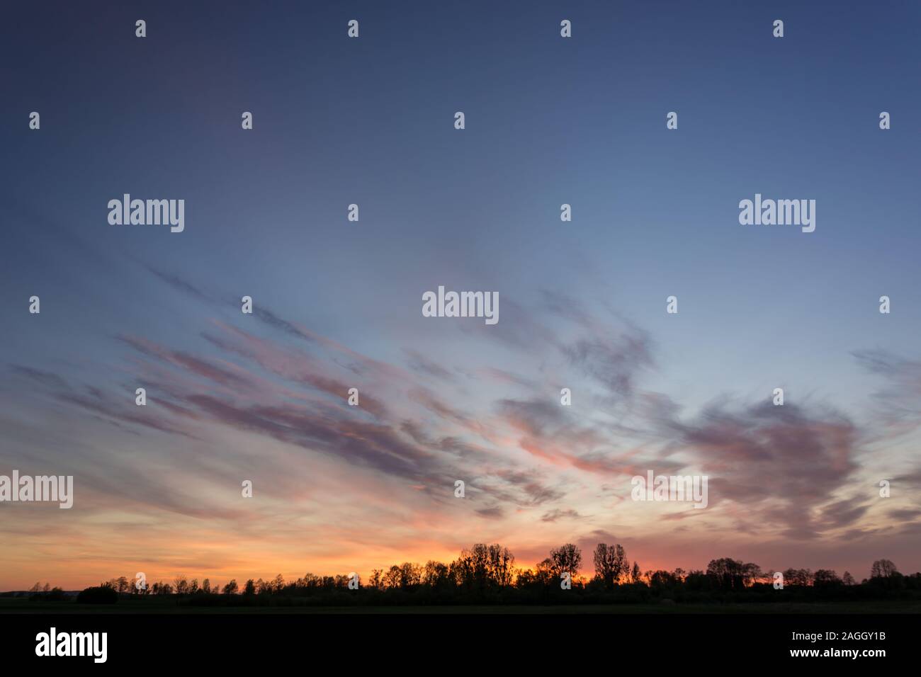 Bäume am Horizont, der Himmel und die bunten Wolken nach Sonnenuntergang - Abendlicher Blick Stockfoto