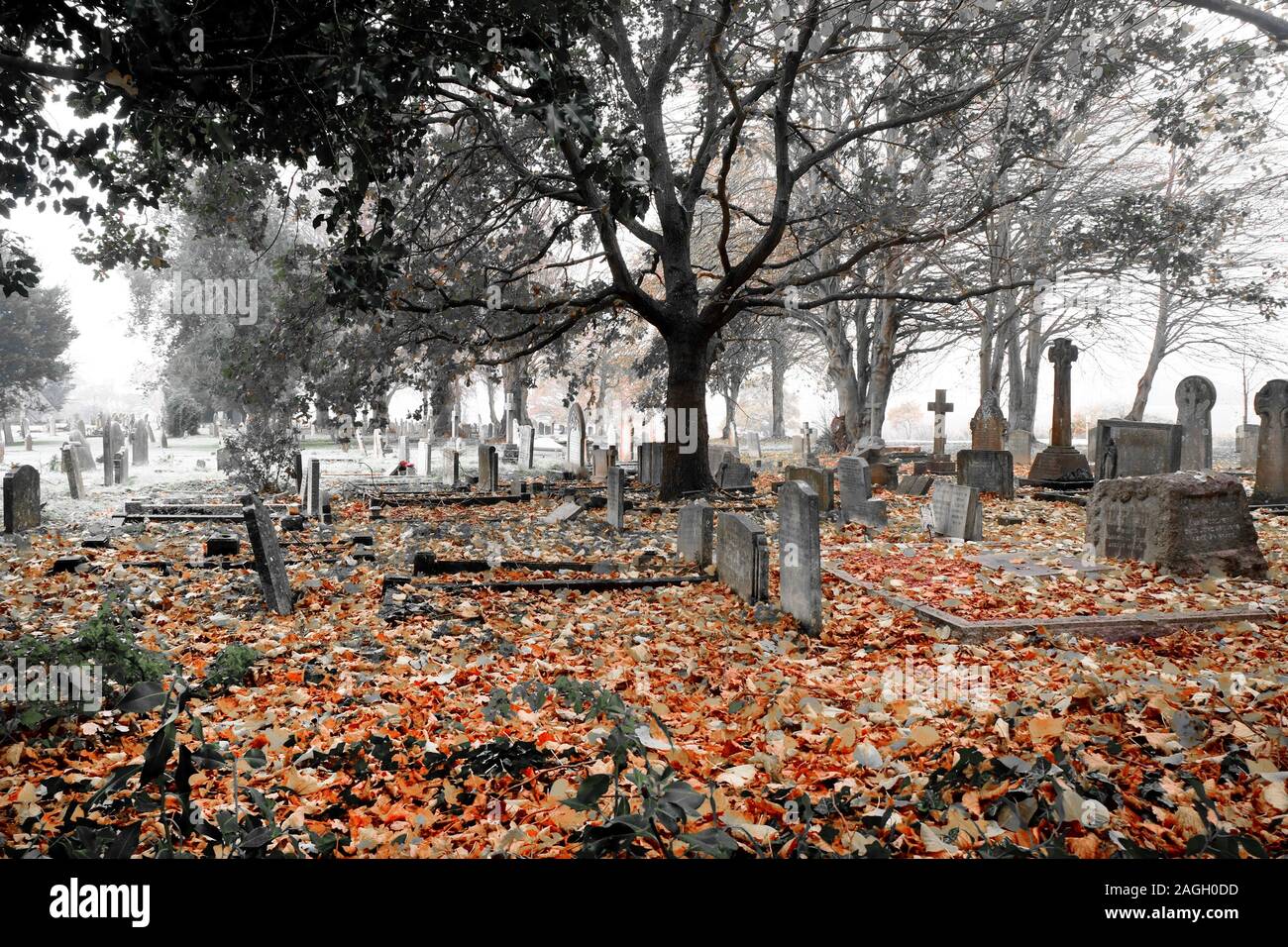 Schwarz-weiß Foto von einem Friedhof im Herbst Nebel gibt es rund hundert Gräber mit Grabsteinen, die zusammen sind in der Ferne in der Nähe ein Stockfoto