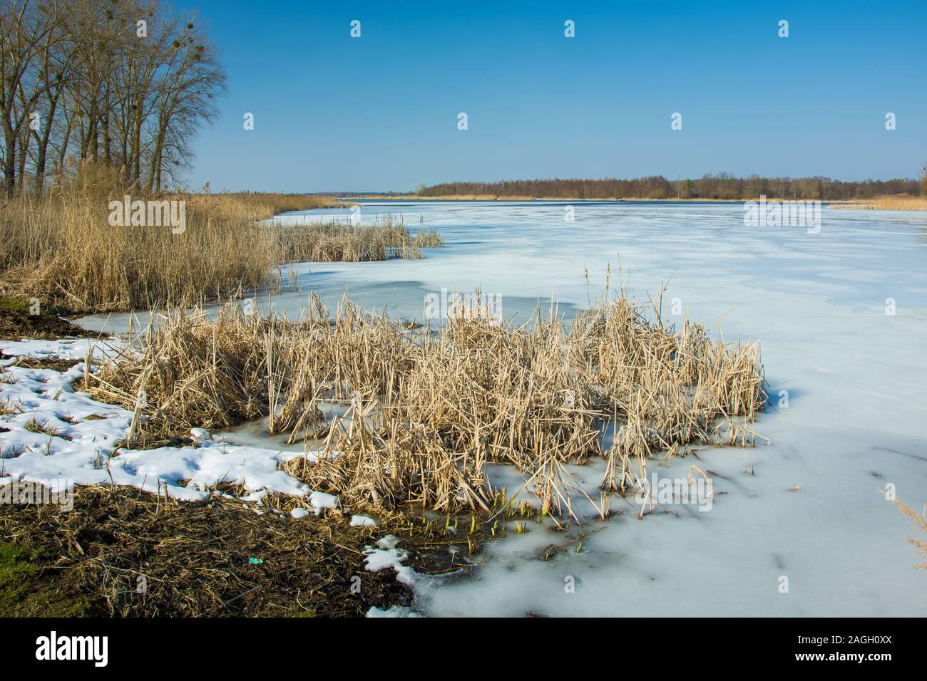 Gras und Schnee am Rande eines zugefrorenen See. Horizont und blauer Himmel - Winter sonniger Tag Stockfoto