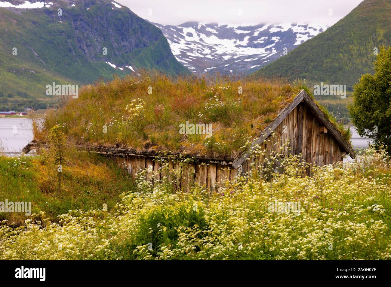 STRAUMSBUKTA, INSEL KVALØYA, Troms County, NORWEGEN - Historisches Museum Dorf Straumen Gård mit Rasen Dach Gebäude. Sod Dach ist traditionell. Stockfoto
