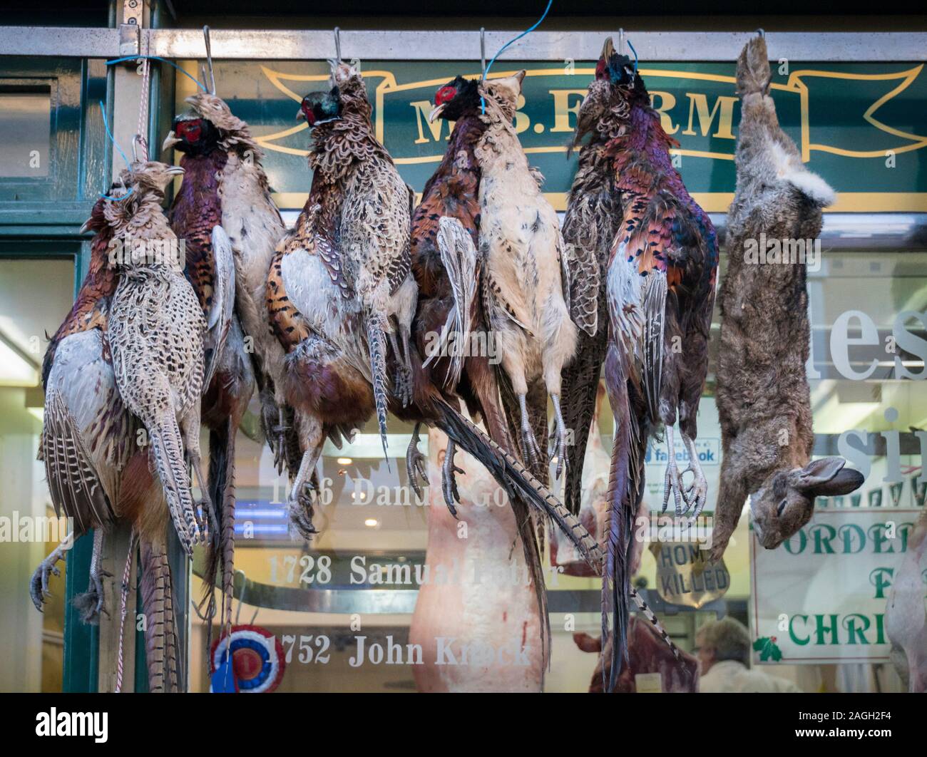 Mehrere Klammern der Fasane und Hasen, hängende außerhalb eines Metzger Schaufenster Stockfoto