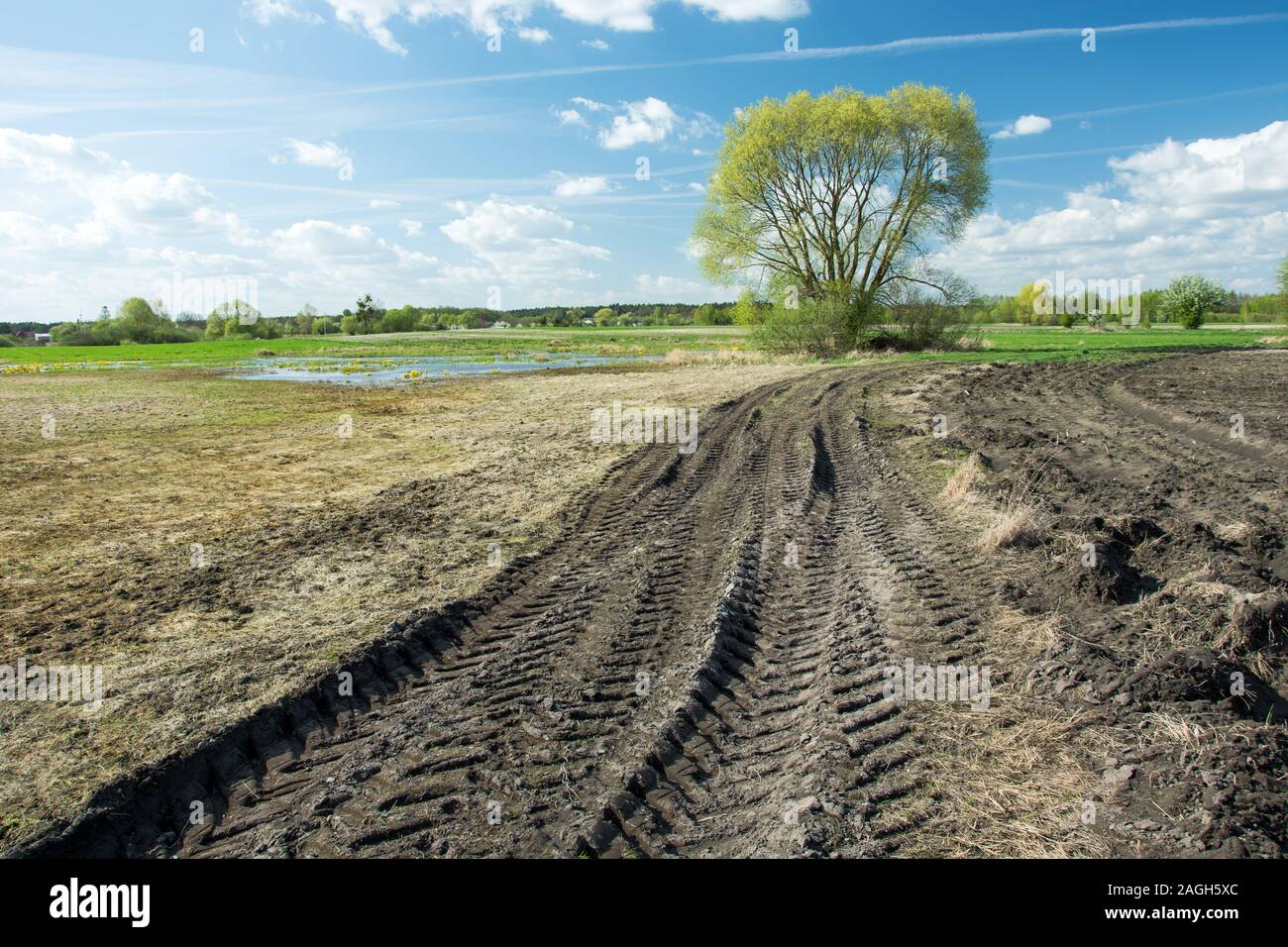 Traktor Reifen Spuren in einem Feld, Baum und weiße Wolken am blauen Himmel - sonniger Frühlingstag Stockfoto