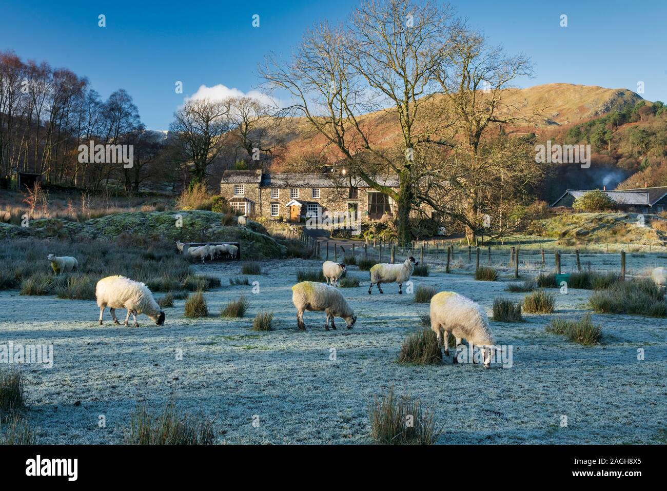 Dawn Licht und einen scharfen Raureif um Patterdale und Glenridding, Ullswater, Großbritannien Stockfoto