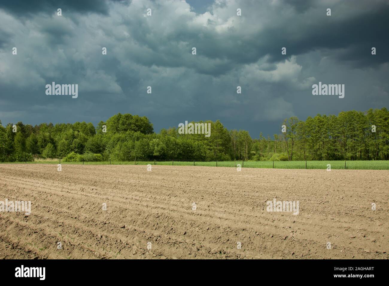 Gepflügten Feldes, grünen Bäumen und dunklen Gewitterwolken Stockfoto