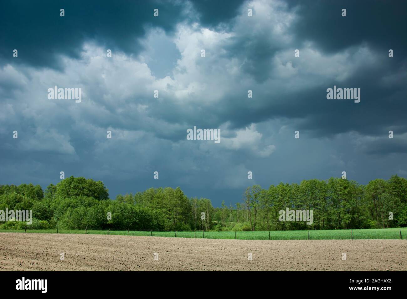 Dunkle stürmische Wolken im Himmel, Bäume und Feld Stockfoto