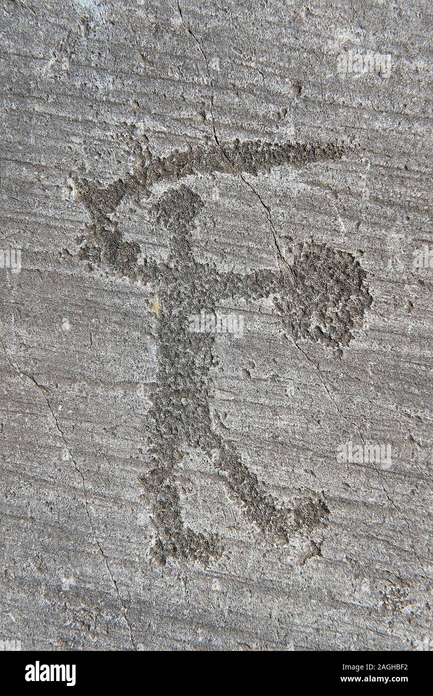 Petroglyph, Rock, Carving, ein Krieger mit Schild und Schwert. Von den alten Camuni Menschen in der eisenzeit zwischen 1000-1200 v. Chr. geschnitzt. Rock Nr. 6, Stockfoto