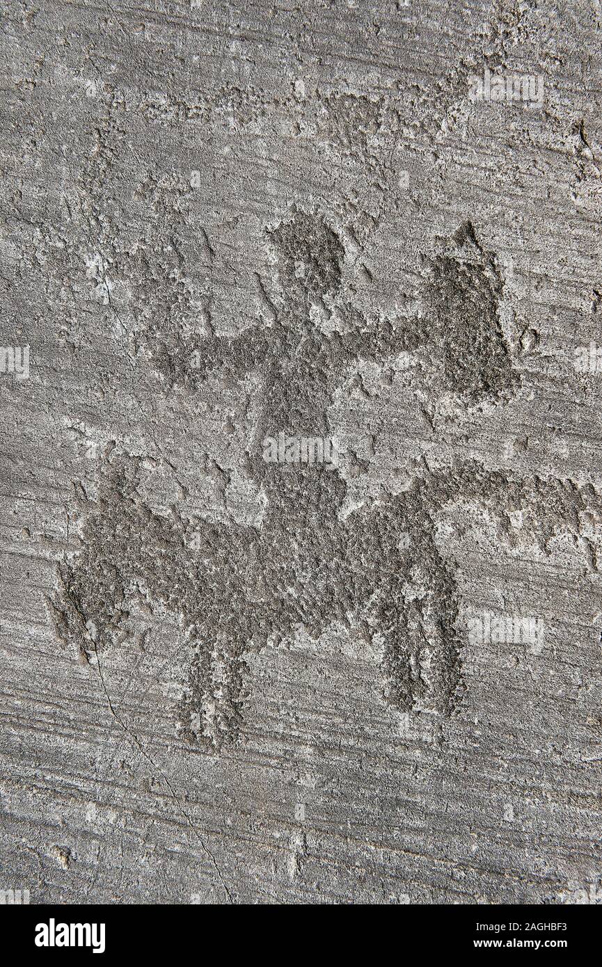 Petroglyph, Rock, Carving, eines Kriegers ein Pferd reiten. Von den alten Camuni Menschen in der eisenzeit zwischen 1000-1200 v. Chr. geschnitzt. Rock Keine 6 Foppi di N Stockfoto