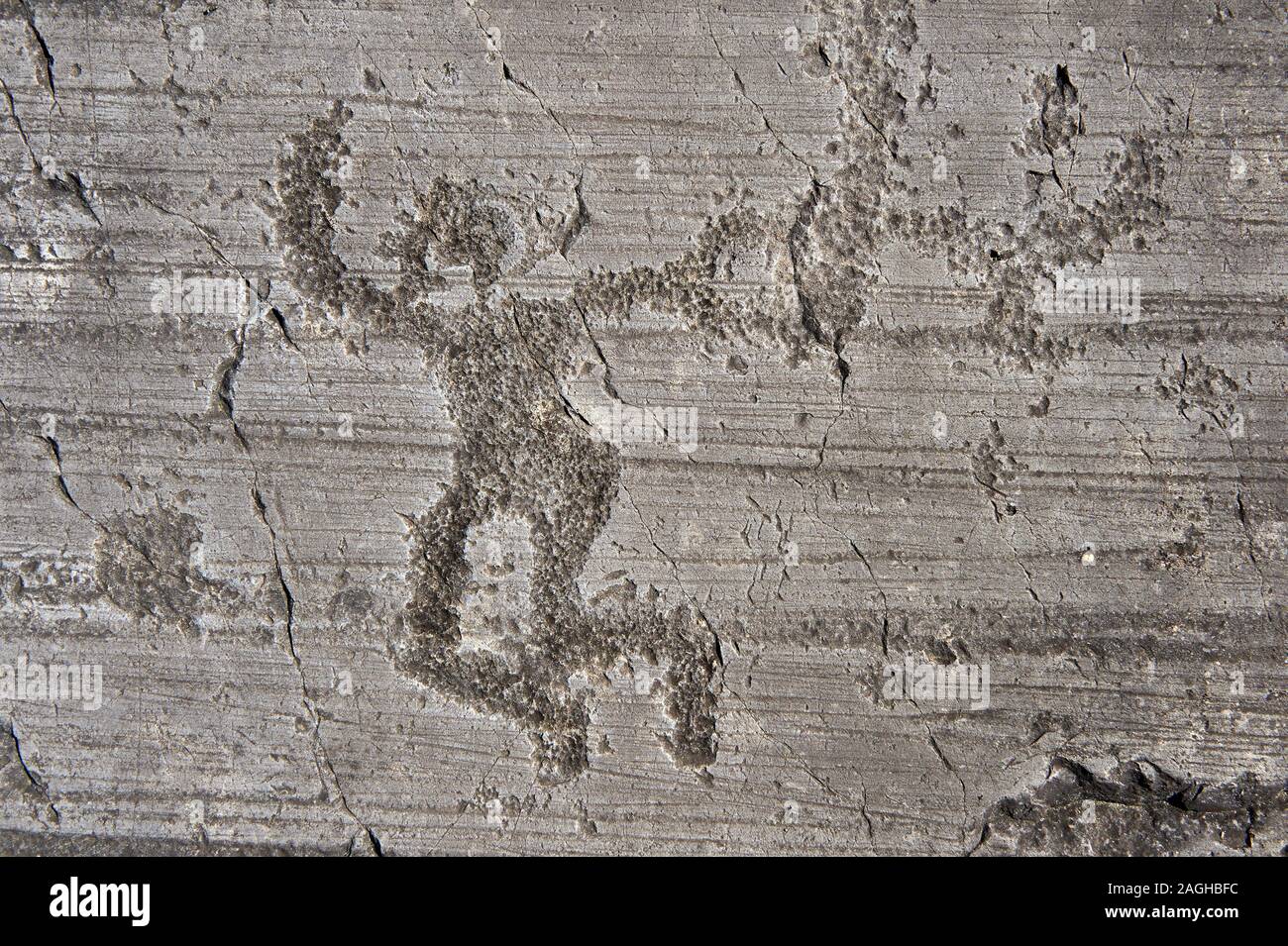 Petroglyph, Rock, Carving, einer tanzenden Krieger holding Schwerter und Schilde. Von den alten Camuni Menschen in der eisenzeit zwischen 1000-1600 v. Chr. geschnitzt. R Stockfoto