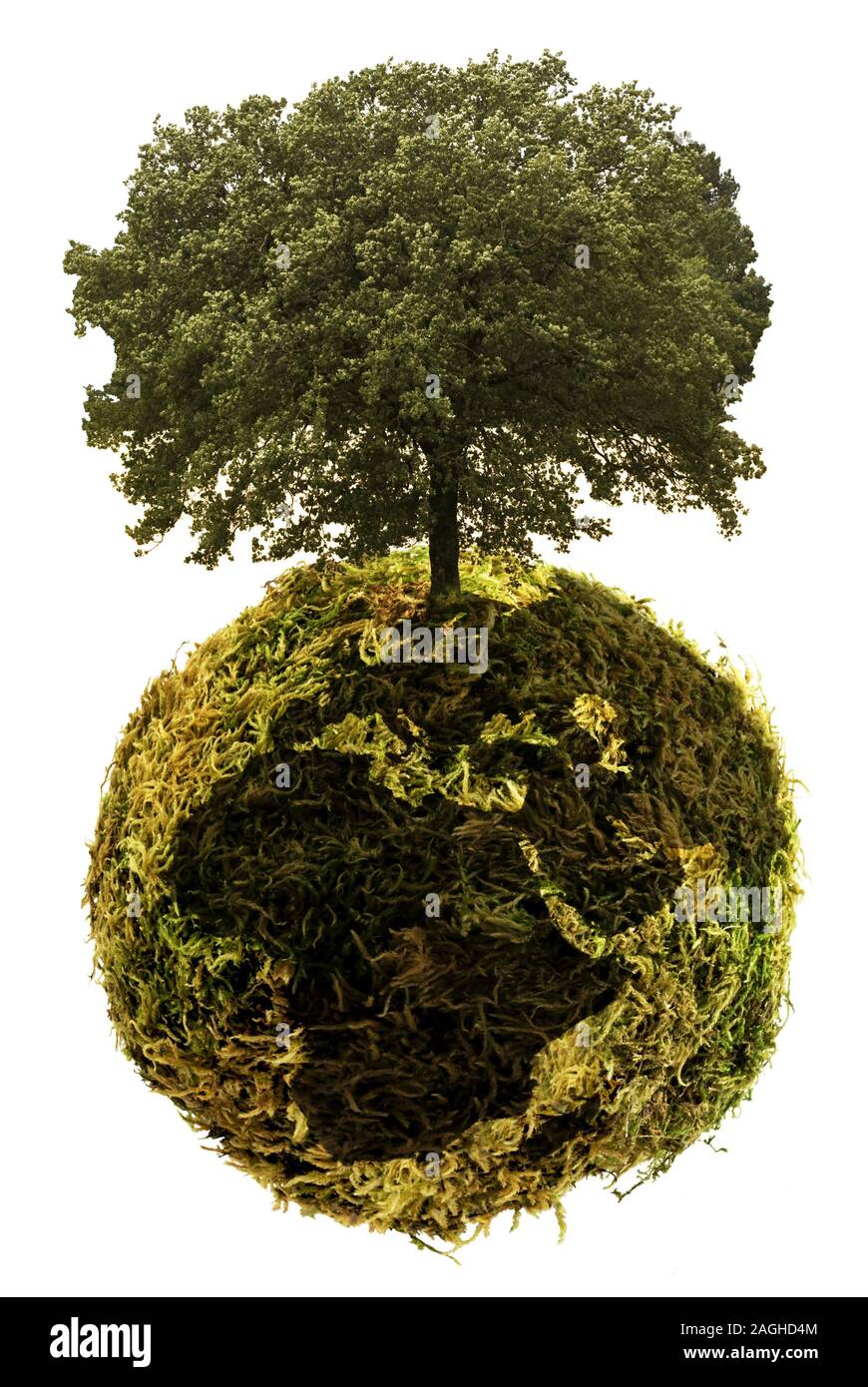 Abstraktes Bild der ökologischen und grünen Erdkugel mit Baum, auf den weißen Hintergrund Stockfoto