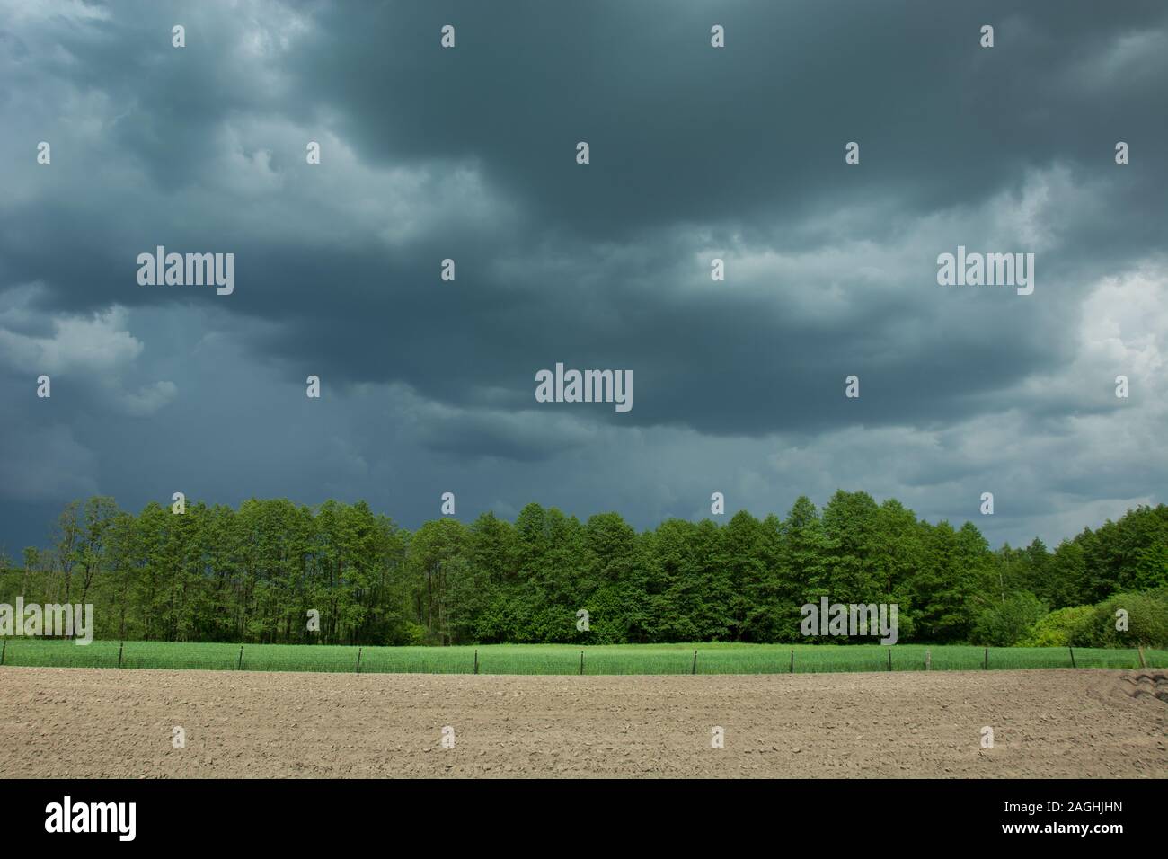 Gewitterwolken, grünen Bäumen und Feld Stockfoto