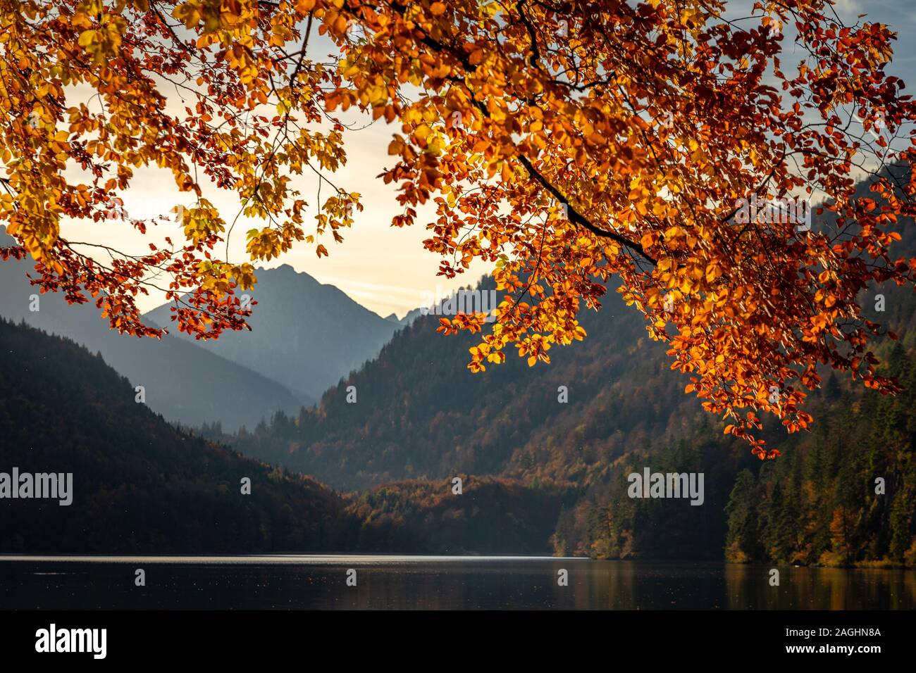 Herbst Farben in einer kleinen deutschen Stadt Hohenschwangau Stockfoto