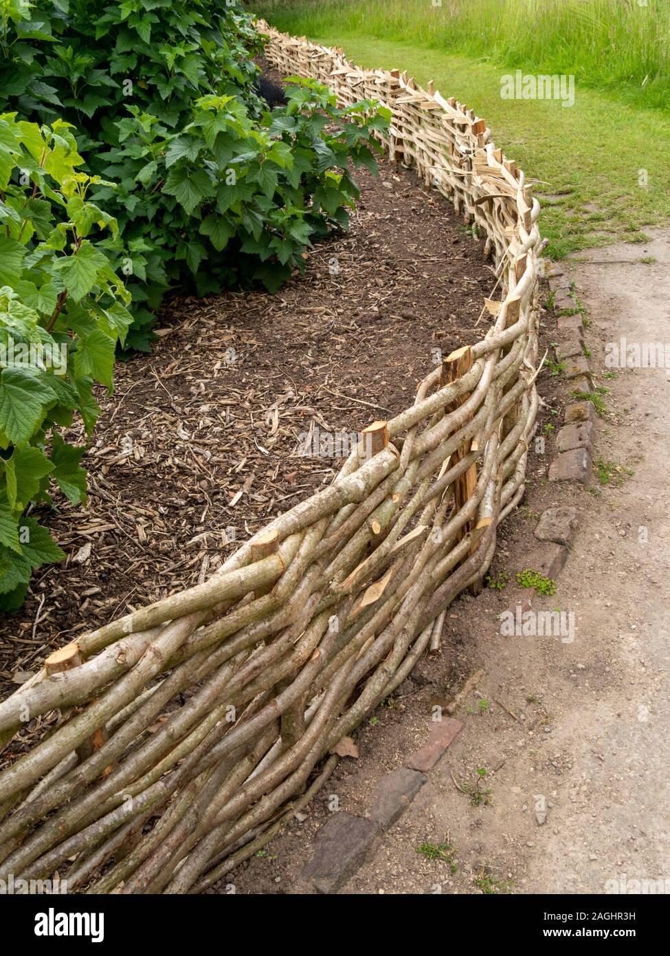 Niedrige gewebte Split hazel Zaun um den Garten Grenze Rand in Englischer Garten. Stockfoto