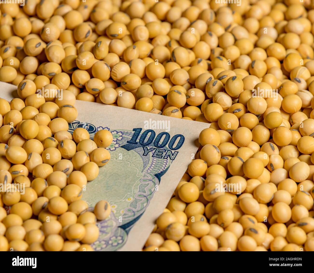 Japan 1000 Yen Rechnung mit Sojabohnen Samen umgeben. Konzept von Japan und den Vereinigten Staaten von Amerika, Tarife, Handelsabkommen, commodity Markt Preise Stockfoto