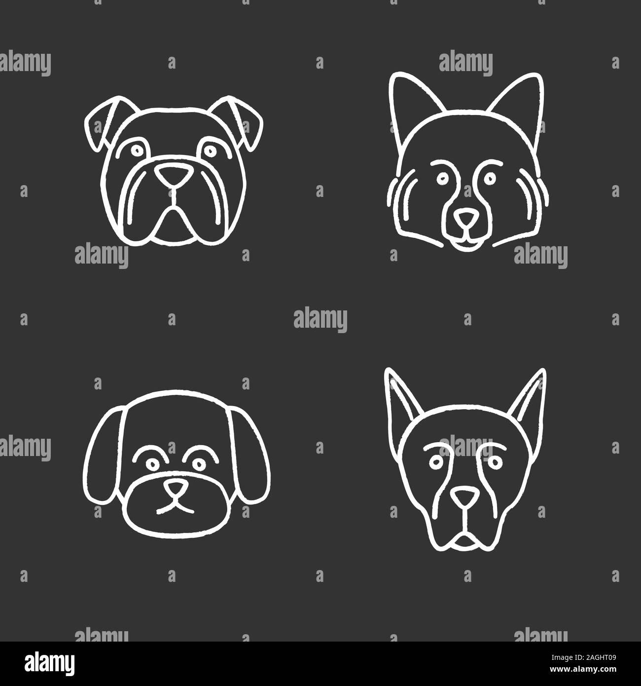 Hunde Rassen chalk Symbole gesetzt. Englische Bulldogge, Spitz, der maltesischen, der Dobermann. Isolierte vektor Tafel Abbildungen Stock Vektor