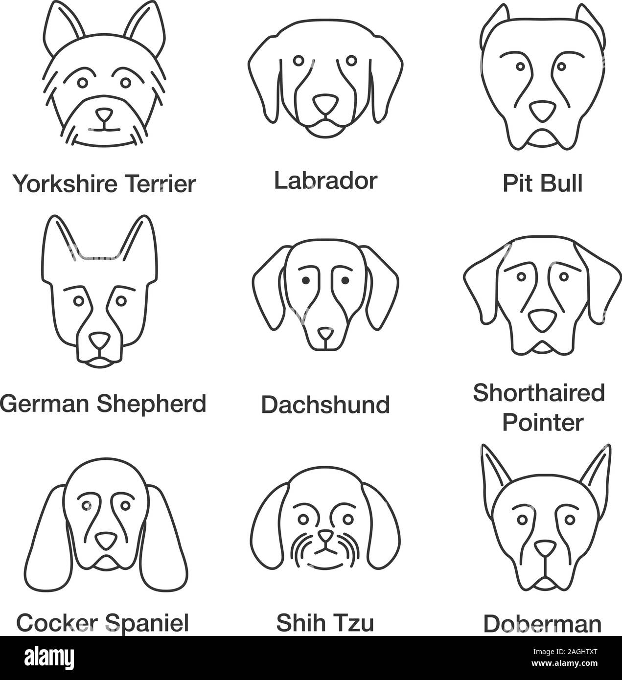 Hunde Rassen lineare Symbole gesetzt. Dünne Linie Symbole. Yorkshire