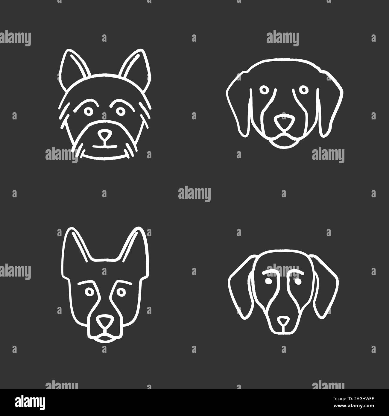 Hunde Rassen chalk Symbole gesetzt. Yorkshire Terrier, Labrador