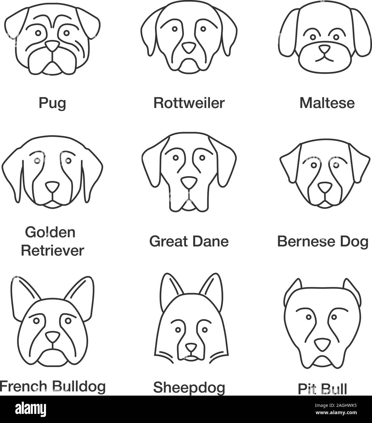 Hunde Rassen lineare Symbole gesetzt. Thin Line Kontur Symbole. Mops, Rottweiler, der maltesischen, der Golden Retriever, Deutsche Dogge, Berner Hund, Schäferhund, Bulldogge, Pit b Stock Vektor
