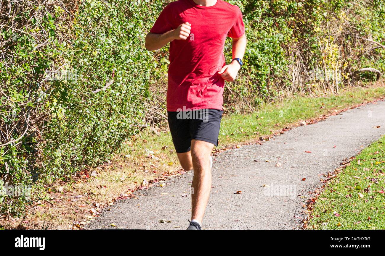 Ein High School Boy läuft in Richtung der Kamera auf einem tar-Pfad von grünen Sträuchern während des Trainings für Querfeldein laufen. Stockfoto