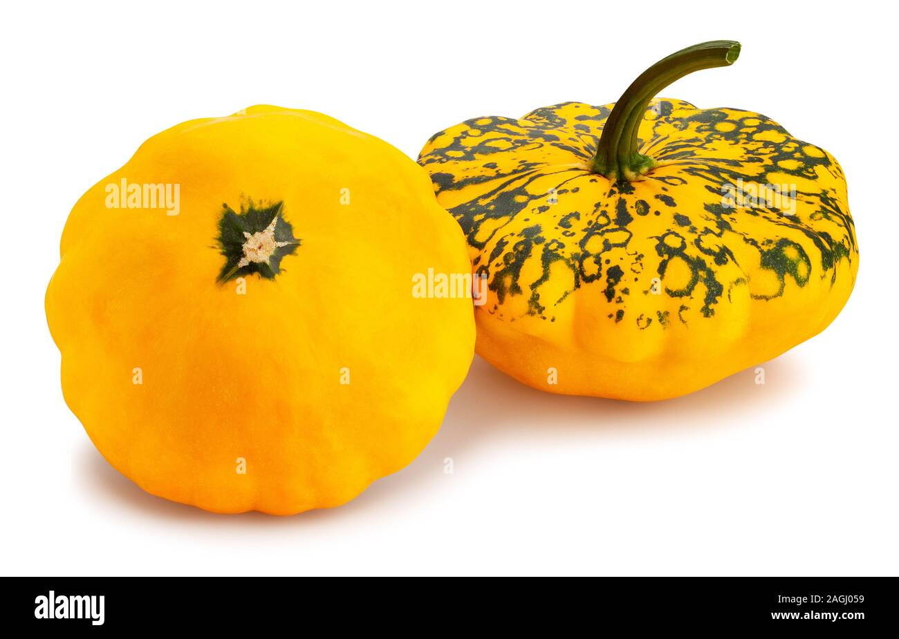 Pattypan squash Pfad isoliert auf weißem Stockfoto