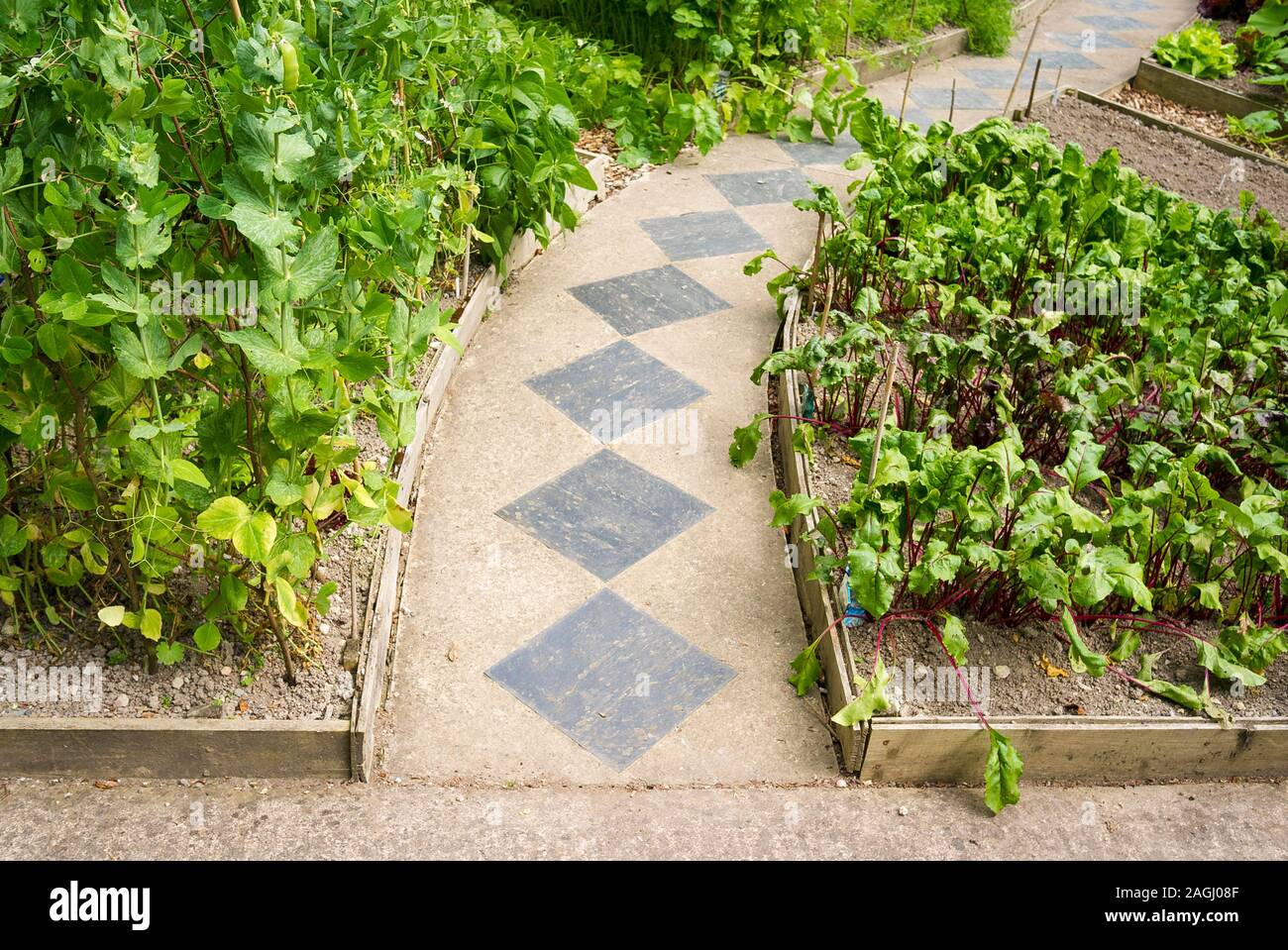 Eine gekrümmte Zugriffspfad, mit einem schwarzen Diamanten Muster, Threads seinen Weg durch einen kleinen formalen Gemüsegarten in Wiltshire England Großbritannien Stockfoto