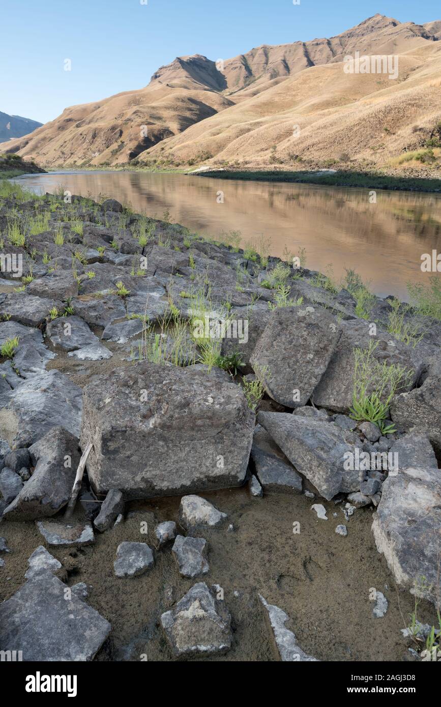 Basaltsäulen Formation entlang von Idaho unteren Salmon River. Stockfoto