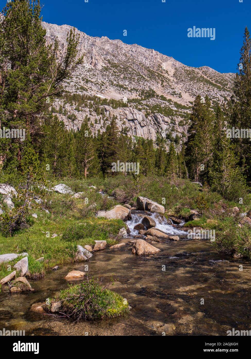 Creek nach unten fließt aus dem hohen Land, Seen Valley Trail, John Muir Wildnis, Inyo National Forest, Kalifornien. Stockfoto