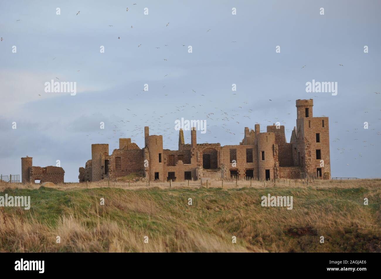 Neue Slains Castle, Cruden Bay, Aberdeenshire Stockfoto