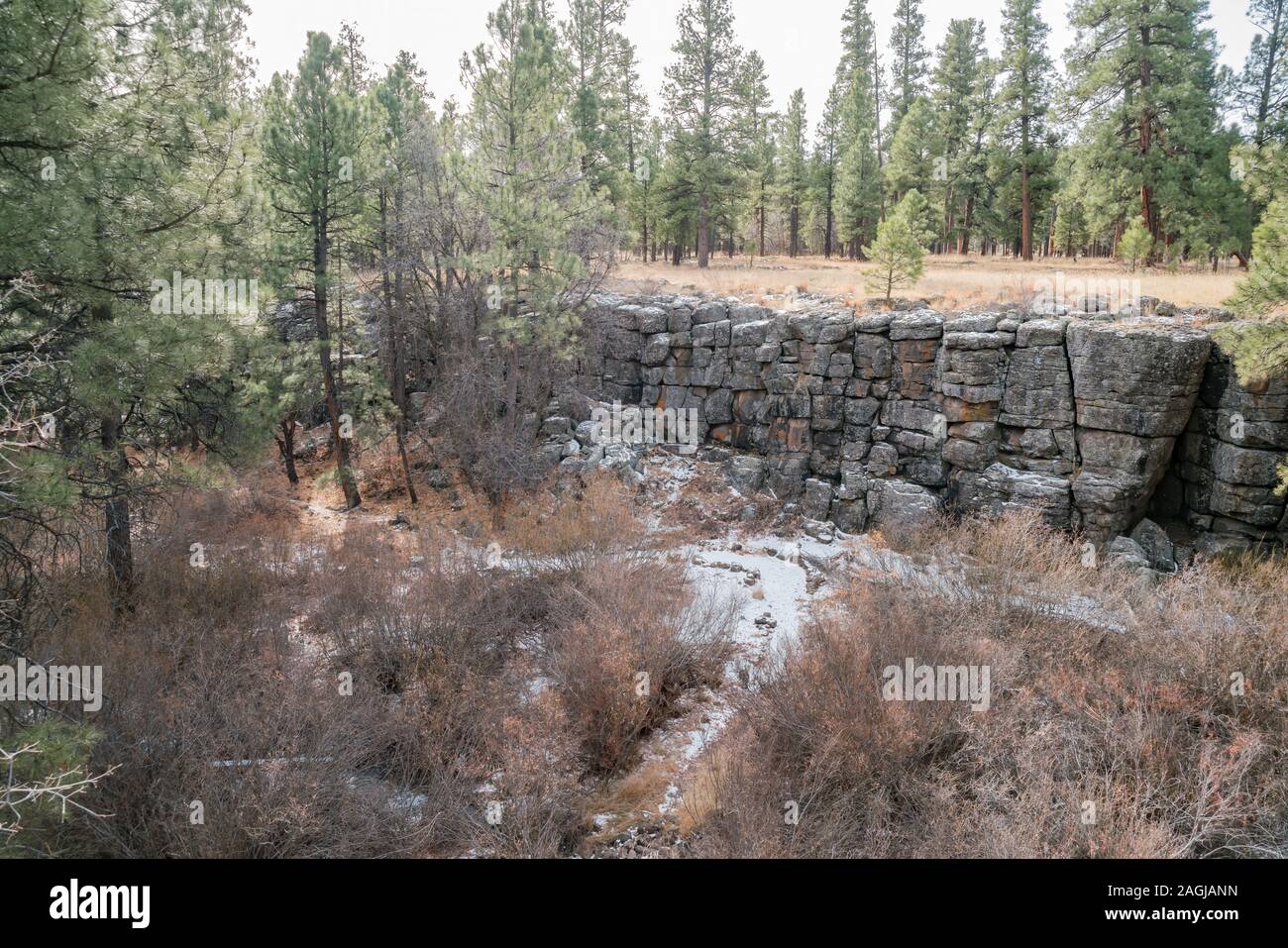 Garten des Museum von Northern Arizona bei Flagstaff Stockfoto