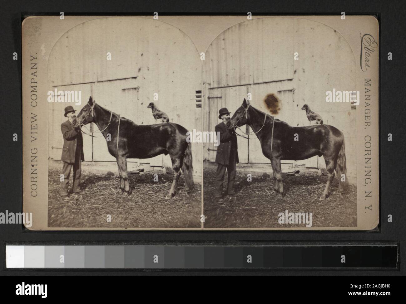 Mensch und Pferd mit einem Hund auf seiner Rückseite Blick von W. L. Sutton, E.&HT Anthony, W. L. Hall und andere Fotografen und Verlage. Robert Dennis Sammlung von stereoskopische Ansichten. Titel von Cataloger'. Blick auf das südliche Reihe von New York einschließlich Broome, Chenango, Cortland, Schuyler, Steuben Tioga und Tompkins Grafschaften; Norwich, einschließlich gruppenporträts, Marathon, einschließlich einer Darstellung der Quilts; Homer, einschließlich einer Akademie; Kutabali; Molkerei Operations bei Düren; Kommissionierung Hopfen in Otsego; das gas Haus am Waverly, Dam und fällt bei Fall Creek; Red Rock Ölderrickkräne; Cayuta Stockfoto