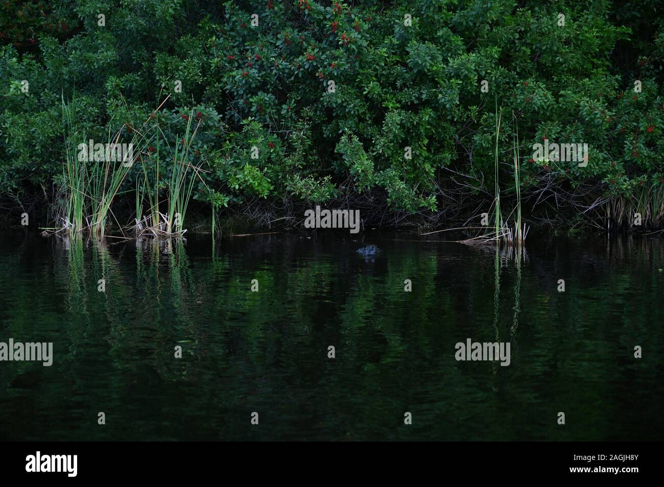 Amerikanische Klassiker, Long Island Sound, NY State Stockfoto