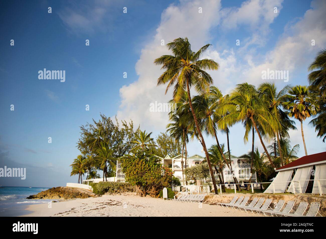 Sommer auf Barbados Insel. Exotische Ferien. Palmen. Türkisblaues Wasser. Sonnigen blauen Himmel. Schönen, weißen Sandstrand. Stockfoto