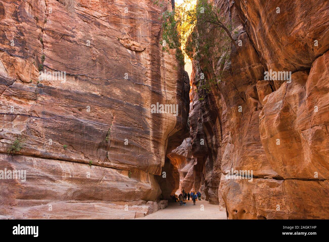 Petra, schmalen Canyon pass Al Siq, Al Khazneh Treasury, Jordanien, Naher Osten, Asien Stockfoto