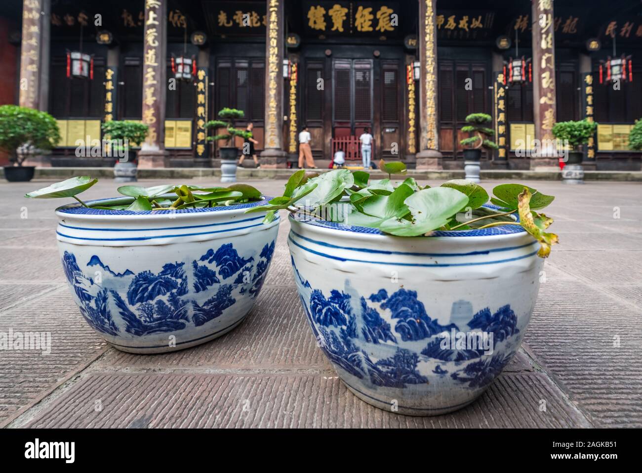 Chengdu, China - Juli 2019: Pflanzen und Blumen im Innenhof des Buddhistischen Wenshu Kloster, Provinz Sichuan Stockfoto
