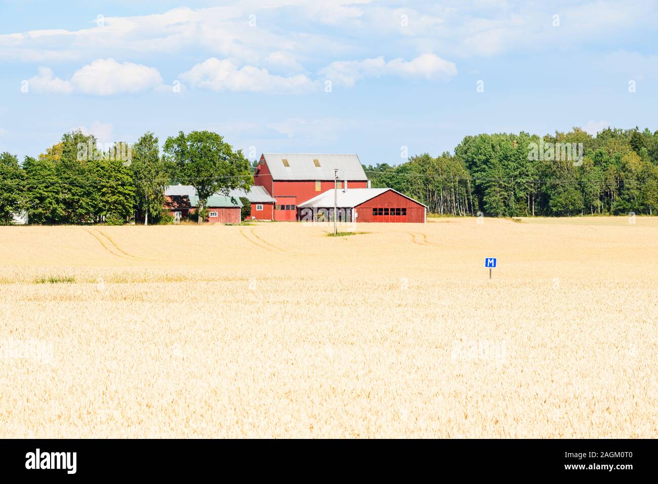 Landwirtschaft Felder und Häuser auf die schwedische Landschaft Stockfoto