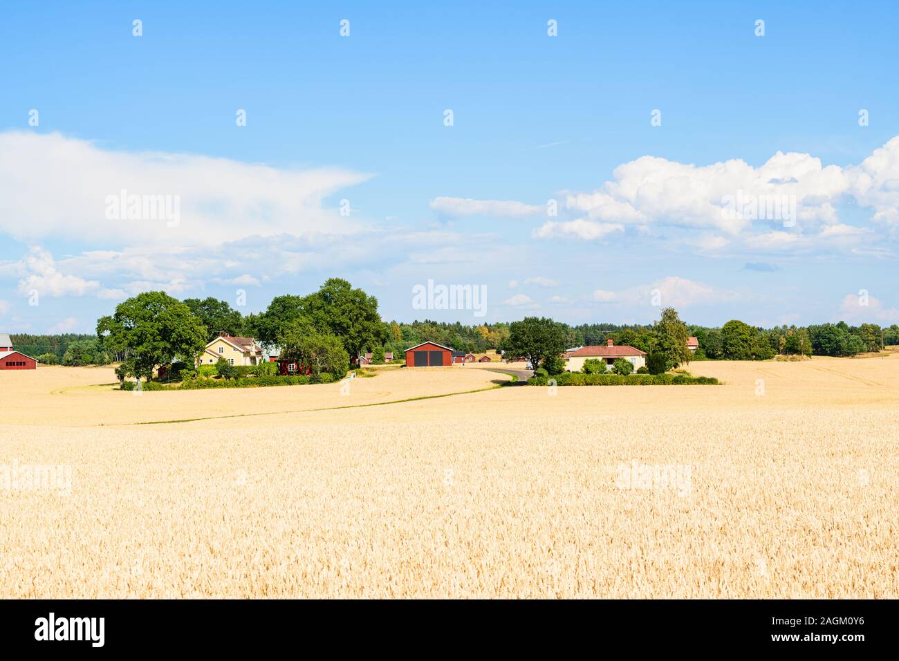 Landwirtschaft Felder und Häuser auf die schwedische Landschaft Stockfoto