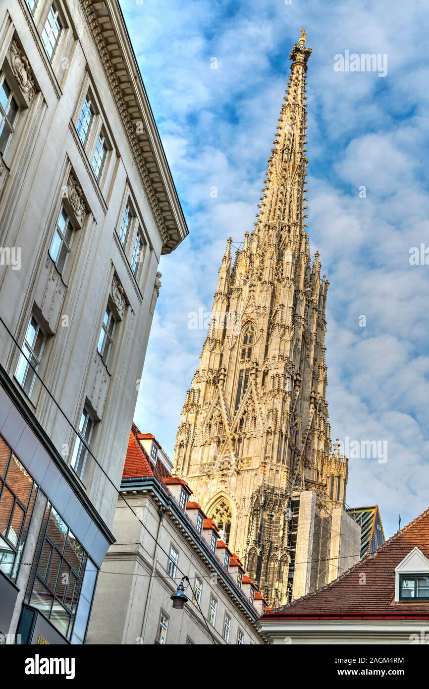 St.-Stephans Kathedrale oder Stephansdom, Wien, Österreich Stockfoto