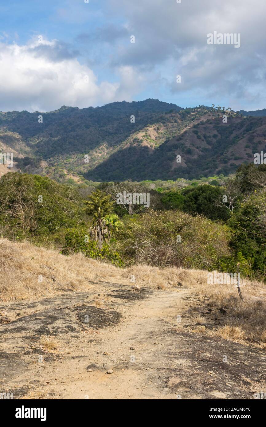 Wanderwege, Komodo National Park Indonesien Stockfoto