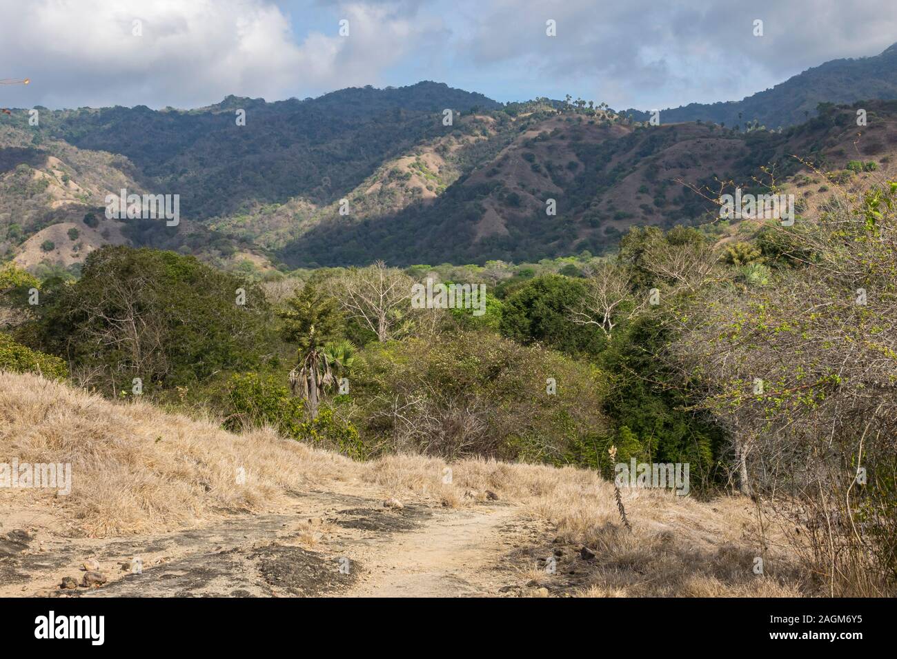Wanderwege, Komodo National Park Indonesien Stockfoto